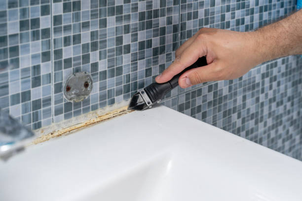 Best Residential Mold Removal  in Sunman, IN