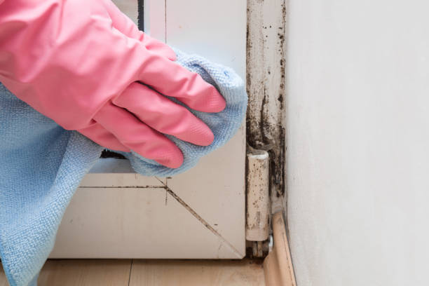 Best Mold Testing  in Sunman, IN